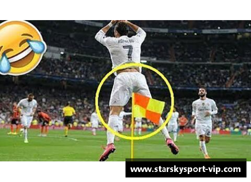 足坛巅峰：探索足球世界的十大天才