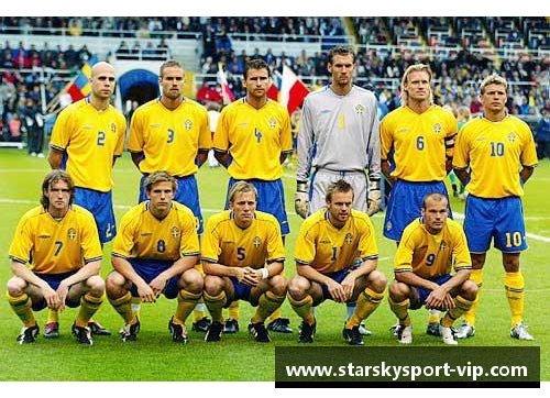 足球冠军球员的辉煌之路及背后故事